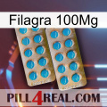 Filagra 100Mg new08